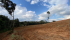 9955e267-5195-4f0a-89f2-0210769e86d6.jpeg
